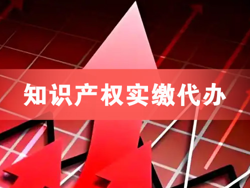 双城知识产权实缴资本代办